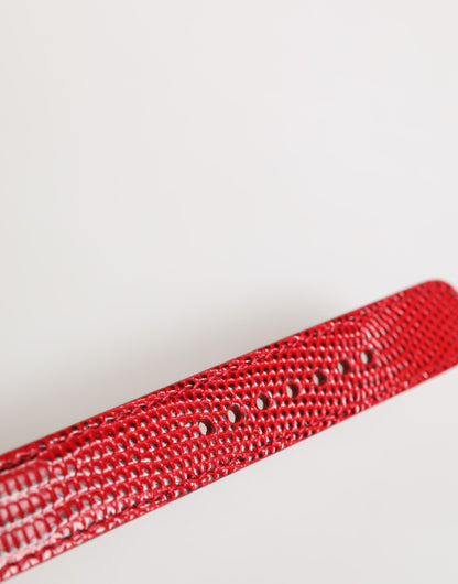 Dolce & Gabbana Red Exotic Leather Gold Tone Metal Buckle Women Armband