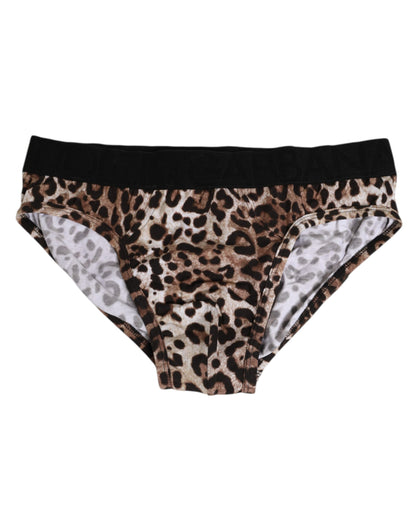 Dolce & Gabbana Brown Cotton Leopard Logo Midi Brief Underwear
